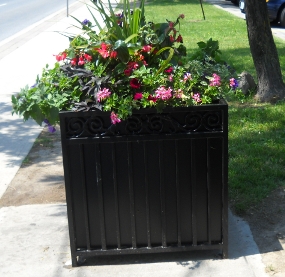 planters1